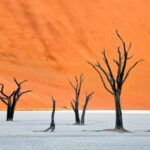 Namibia, Deadvlei