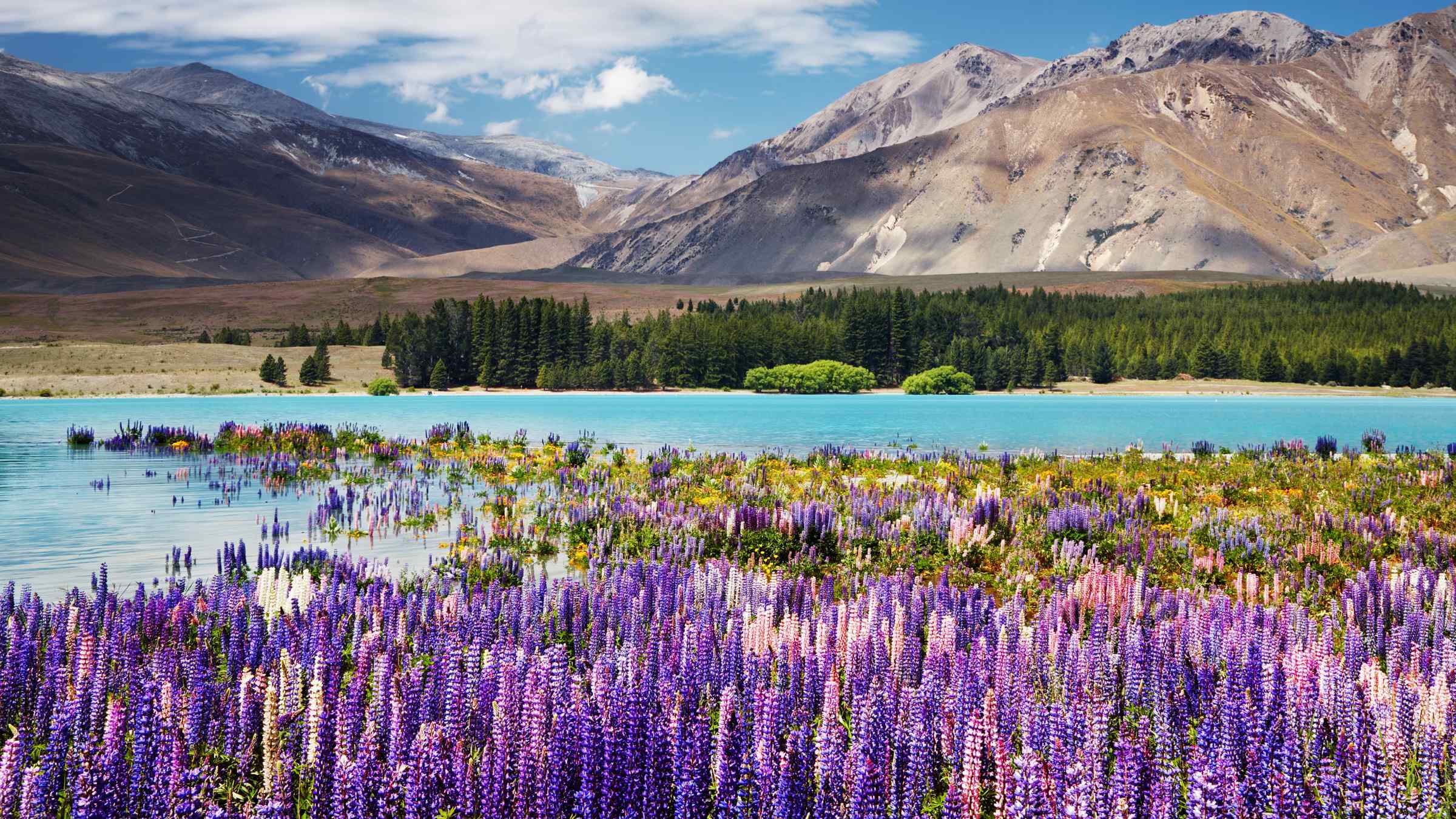 Nowa Zelandia, Nowa Zelandia, Tekapo