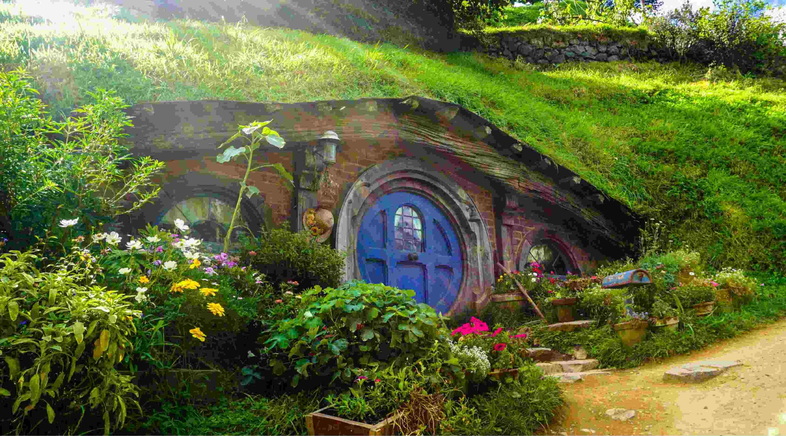 Nowa Zelandia oferta, Nowa Zelandia wycieczka, Nowa Zelandia Hobbition