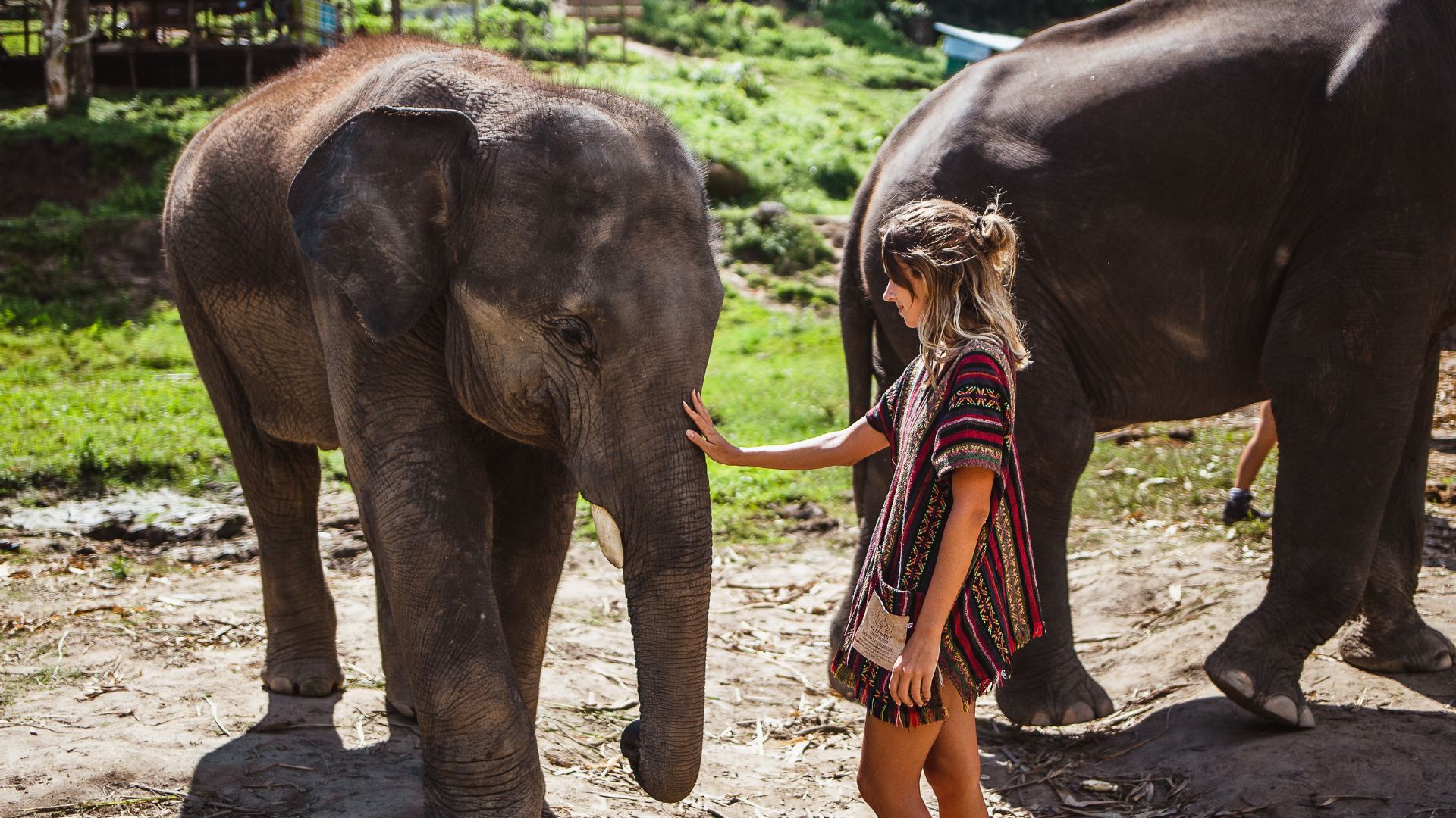 Sri Lanka, sanktuarium słoni