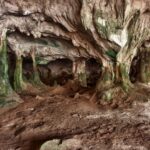 Turks i Caicos oferta, Turks i Caicos wycieczka, Turks i Caicos Conch Bar