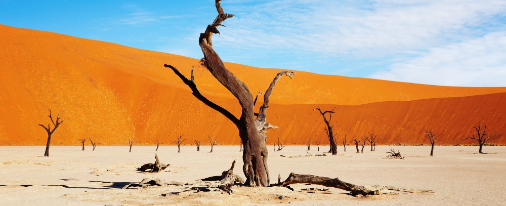 Namibia, Namib