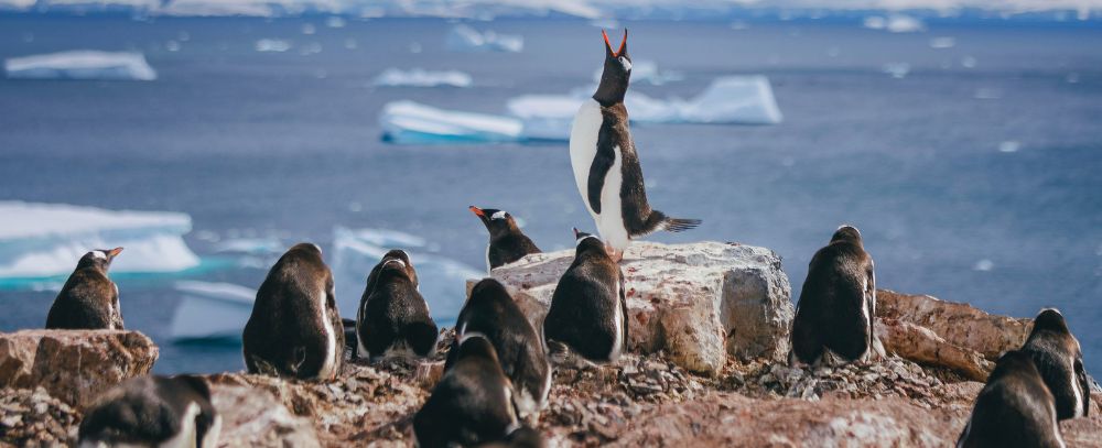Rejs oferta, Rejs wycieczka, Rejs ekspedycyjny